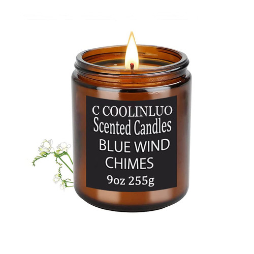 C COOLINLUO 9OZ Scented Candles,Soy Candles for Home Scented, Soy Wax Jar Aromatherapy Candle-50 Hours Long, Scented Soy Candles Gifts Set for Men/Women(Lavender)