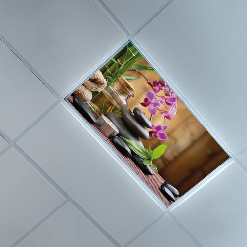 Lorougei Fluorescent Light Covers for Classroom Office-Spa Pattern-Light Filters Ceiling LED Ceiling Light Covers-2ft x 4ft Drop Ceiling Fluorescent Decorative,Purple Black Green