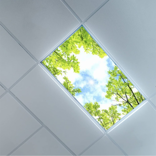Lorougei Fluorescent Light Covers-for Ceiling Light Diffuser Panels - Fluorescent Light Covers for Classroom Office - 2ft x 4ft Drop Ceiling Fluorescent Decorative - Tree Leaves Sky Clouds Pattern