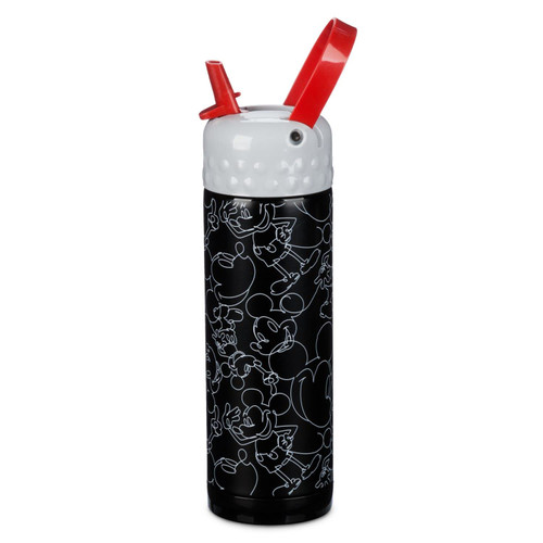 Disney Mickey Mouse Stainless Steel Water Bottle with Built-In Straw