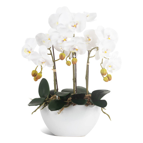 Ziwon Artificial Orchid Flowers Potted in Ceramic Pot, White Faux Phalaenopsis Orchids for Table Centerpiece, Realistic Fake Flower in vase for Home Office Decor Indoor Ziwon Artificial Orchid Flowers Potted in Ceramic Pot, White Faux Phalaenopsis Orchids for Table Centerpiece, Realistic Fake Flower in vase for Home Office Decor Indoor