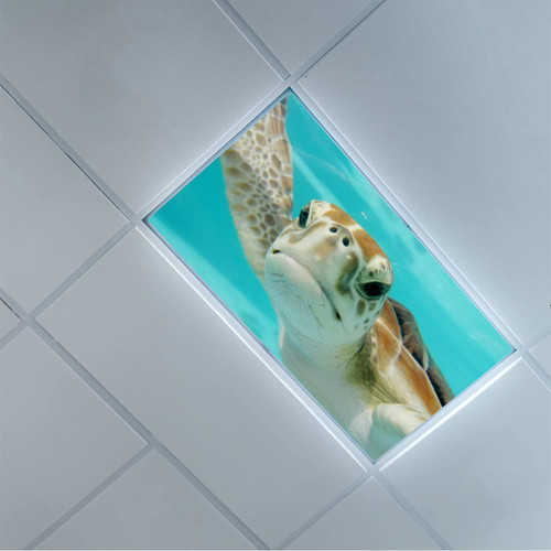 Lorougei Fluorescent Light Covers for Classroom Office - Light Filters Ceiling LED Ceiling Light Covers - Office & Classroom Decorations - Turtle