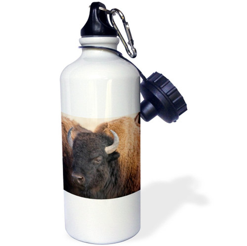 3dRose "Bison Close-up" Sports Water Bottle, 21 oz, White