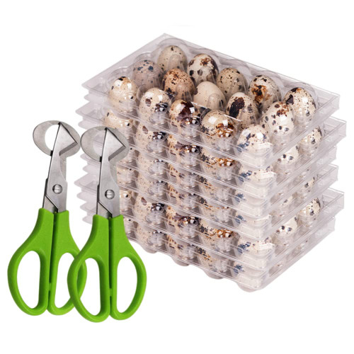 Quail Egg Cartons,25 Pack of 15 Grids Small Eggs Carton Holders Reusable Plastic Quail Egg Container, 2PCS Stainless Steel Quail Egg Cutter Scissors Pigeon Bird Quail Egg Cutter Opener