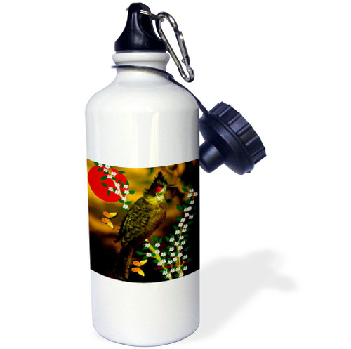 3dRose "Red Whiskered Bulbul Bird Art" Sports Water Bottle, 21 oz, White