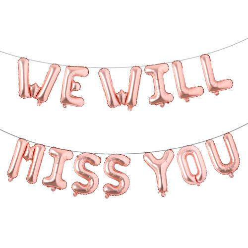 Farewell Party Decorations Supplies We Will Miss You Balloon Banner Kit Going Away Party Goodbye Retirement Office Work Party Office Work Graduation Decorations (WE Will Miss You Rose Gold)