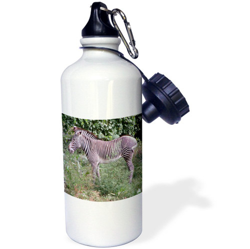 3dRose Zebra - Sports Water Bottle, 21 oz, White