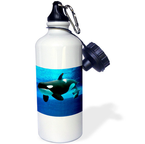 3dRose Killer Whale Sports Water Bottle, 21 oz, White