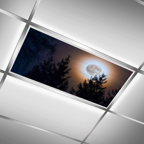 Dusk Night Forest,Yellow Orange Black,Light Diffusers,Fluorescent Light Covers for Classroom, Office, Hospital and Home-Easy to Install-Improves Room Aesthetics,4x2 ft