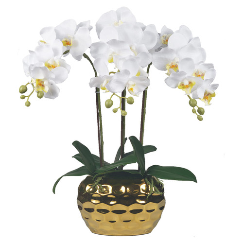 W&W Artificial Orchid Plants & Flowers Arrangement in Ceramic Pot, Fake Faux White Orchid with Gold Vase, Realistic Phalaenopsis Orchids for Home Decor Indoor W&W Artificial Orchid Plants & Flowers Arrangement in Ceramic Pot, Fake Faux White Orchid with Gold Vase, Realistic Phalaenopsis Orchids for Home Decor Indoor
