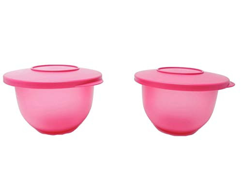 Tupperware Impressions 2.5 cup Bowl set of 2