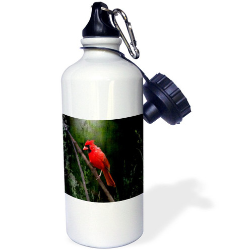 3dRose "Wild Brid Cardinal Bird in Spring Art Home Decor" Sports Water Bottle, 21 oz, White