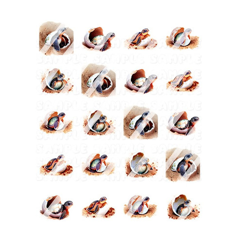 Baby Sea Turtles in Egg Nail Art Decals - Waterslide Decals - Design #ST104 Baby Sea Turtles in Egg Nail Art Decals - Waterslide Decals - Design #ST104