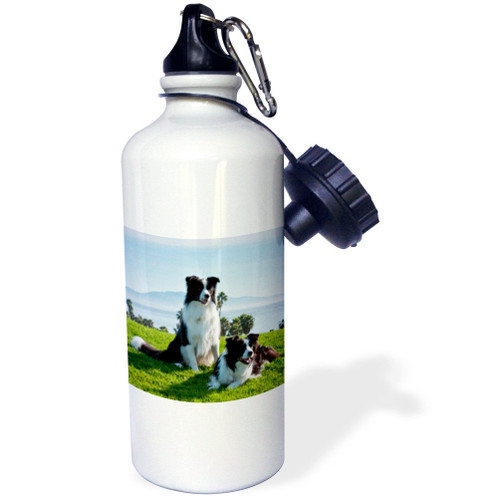 3dRose Cavalier King Charles Spaniel Puppy Dogs-Us05 Zmu0119-Zandria Muench Beraldo Sports Water Bottle, 21 oz, White 3dRose Cavalier King Charles Spaniel Puppy Dogs-Us05 Zmu0119-Zandria Muench Beraldo Sports Water Bottle, 21 oz, White