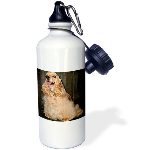 3dRose "Cocker Spaniel" Sports Water Bottle, 21 oz, White