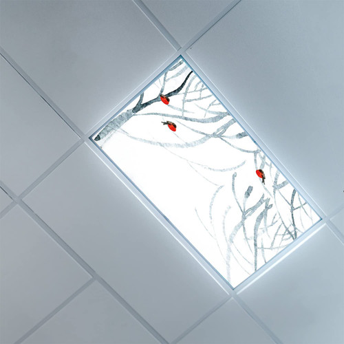 Lorougei Fluorescent Light Covers for Ceiling Light Diffuser Panels-Modern Pattern-Fluorescent Light Covers for Classroom Office-2ft x 4ft Drop Ceiling Fluorescent Decorative,Pale Grey White Black