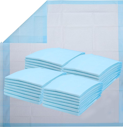 Healqu Disposable Underpads - Incontinence Bed Chux Pads for Adults, Kids, Elderly, and Pets - Fluid and Urine Bed Protection - Large, Super Absorbent Fluff and Polymer (24x36 Pack of 25) Healqu Disposable Underpads - Incontinence Bed Chux Pads for Adults, Kids, Elderly, and Pets - Fluid and Urine Bed Protection - Large, Super Absorbent Fluff and Polymer (24x36 Pack of 25)