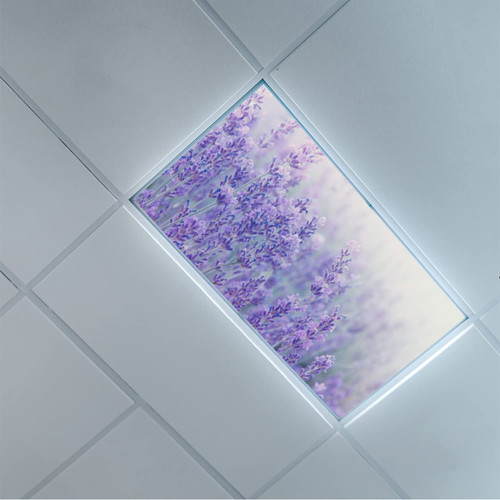 Lorougei Fluorescent Light Covers-for Ceiling Light Diffuser Panels - Fluorescent Light Covers for Classroom Office - Office & Classroom Decorations - Lavender
