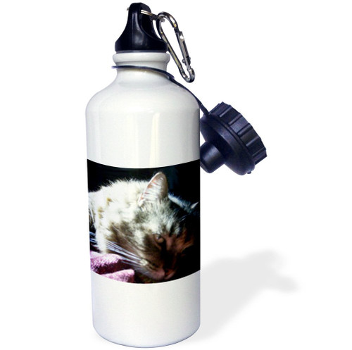 3dRose "Gorgeous Maine Coon Cat Lazing In The Sun" Sports Water Bottle, 21 oz, White