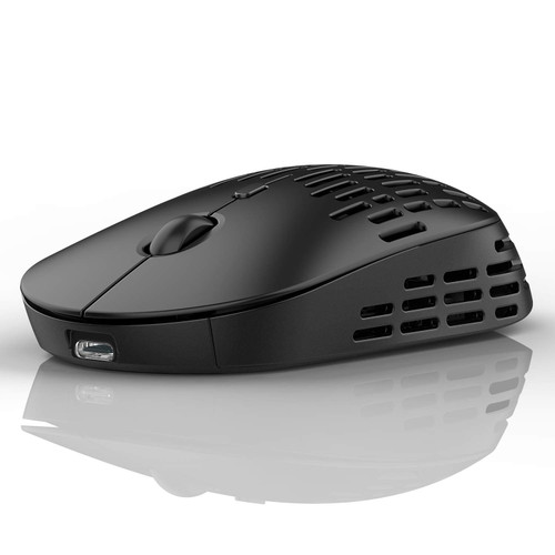 RAPIQUE Type C Wireless Bluetooth Mouse, Dual Mode Rechargeable Silent Cordless Bluetooth Mice with 2.4G Type C Receiver for Laptop, MacBook air/pro, iPad pro, Computer and All Type-C Device (Black)