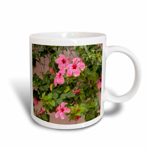 3dRose Hibiscus Flower, Cozumel, Mexico Two Tone Mug, 11 oz, Red