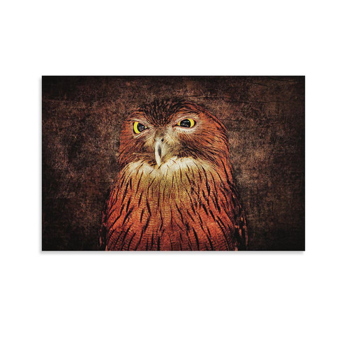 Rucatto Animal Wall Art Animal Poster Animal Print Eagle Decor Eagle Poster Wall Art Paintings Canvas Wall Decor Home Decor Living Room Decor Aesthetic 24x36inch(60x90cm) Unframe-style