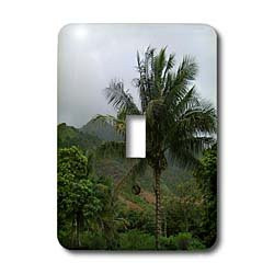 3dRose lsp_31441_1 Hawaii Palm Tree Travel Photography Single Toggle Switch