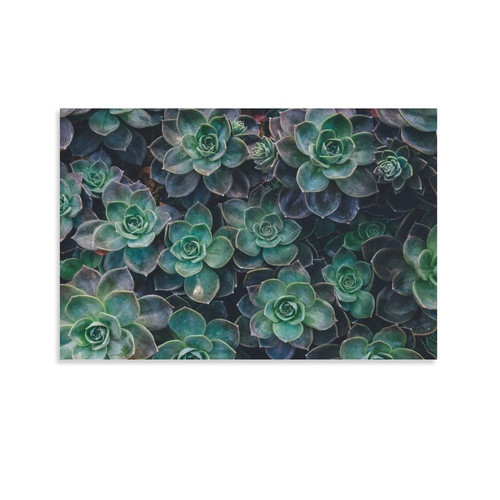 Succulents Landscape Poster Wall Art Paintings Canvas Wall Decor Home Decor Living Room Decor Aesthetic 08x12inch(20x30cm) Unframe-style