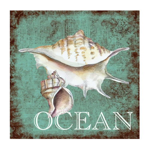 Sea Snail Starfish Nautical Beach Ocean Theme Wall Decals Custom Turtle Sea Life Seaturtle Seahorse Outdoors Wall Sticker Vinyl Wall Art Murals Quotes for Floor Window Laptop Dorm Home Decorations