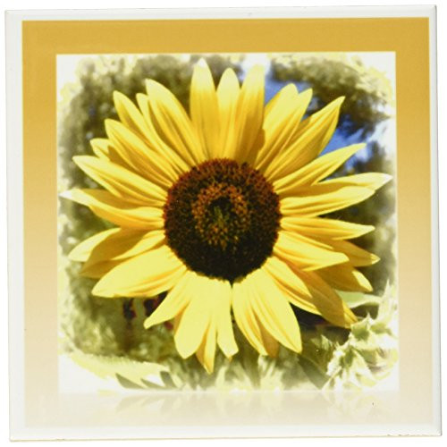 3dRose cst_33909_4 Yellow Sunflower Floral-Flowers-Ceramic Tile Coasters, Set of 8