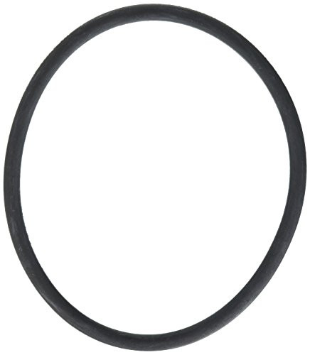 Waterway Plastics 806105185853 Collar Gasket Clearwater