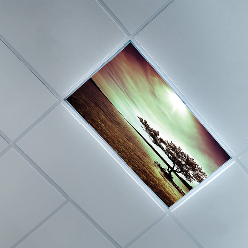 Fluorescent Light Covers for Classroom Office-Lonely Tree Pattern-Light Filters Ceiling LED Ceiling Light Covers-2ft x 4ft Drop Ceiling Fluorescent Decorative,Green Black