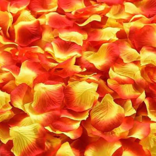 Hoxekle 500/1000/3000pcs Artificial Silk Rose Petals Wedding Party Decoration Romantic Rose Flower Petal Wedding Accessories 5 * 5cm