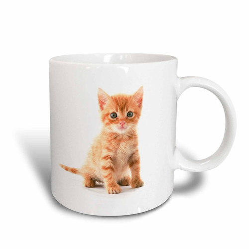 3D Rose Cute Orange Tabby Kitten Two Tone Ceramic Mug, Red