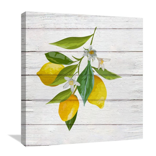 Canvas Painting Print Lemon Fruits Picture Poster Print Stretched And Framed Canvas Wall Painting Painting Modern Home Wall Decor for Kitchen Office Best Gift Ready to Hang