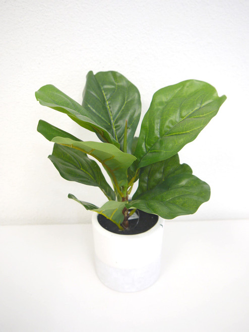 Fake Fiddle Leaf Plant in Pot - Small Potted Plant Artificial Plant, Indoor Faux or Artificial Fiddle Leaf Fig for Your Office Decor, Table Decor - Artificial Plants for Home Decor Indoor Fake Fiddle Leaf Plant in Pot - Small Potted Plant Artificial Plant, Indoor Faux or Artificial Fiddle Leaf Fig for Your Office Decor, Table Decor - Artificial Plants for Home Decor Indoor