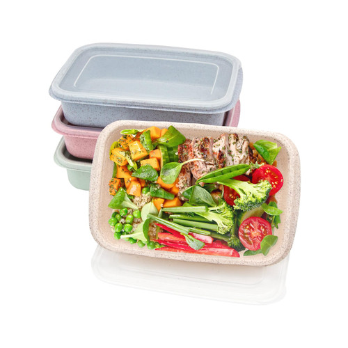 Luriseminger 4 Pack Bento Lunch Box?Reusable Meal Prep Containers with Lids?Durable Lunch Containers for Kids/Toddle/Adults,Food Containers for School, Work and Travel (1 Compartment-Multicolor)