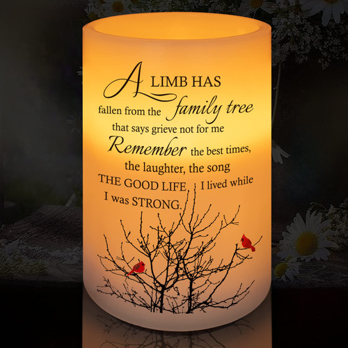 HN HAIINAA Flameless Memorial Candle, Real Wax LED Light with Timer Sympathy Gift Bereavement Gifts for Loss of Loved One Memorial Gifts for Loss of Mother Father Remembrance Gifts (6" x 4")