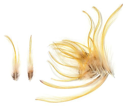 Golden Pheasant Crown Feathers (20 Pieces), Yellow Gold (Small)