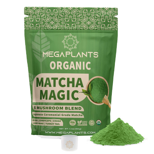 MEGAPLANTS Matcha Magic (50 Servings) | Superfood 5 Mushroom Powder Blend for Focus, Mental Clarity & Energy | USDA Organic | Japanese Ceremonial Grade Matcha | Shade Grown