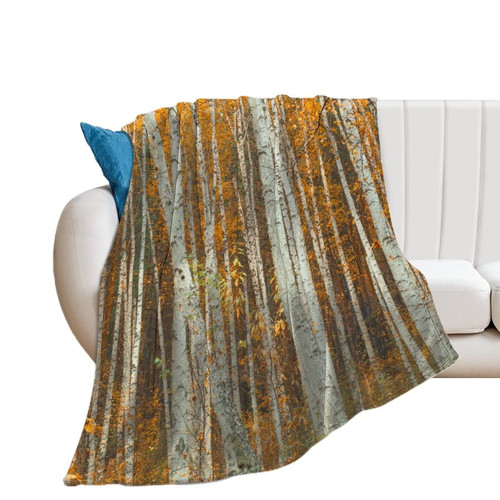 NAHAN Throw Blankets Autumn Birch Forest Landscape Fleece Blanket Breathable Flannel Blankets Warm Blanket for Bed Sofa Couch Chair Office