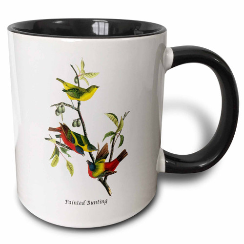 3dRose Painted Bunting by John James Audubon Two Tone Mug, 11 oz, Black/White