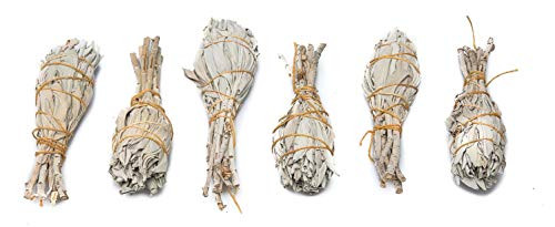 Sage Smudge Stick - 6 California White Sage Bundles Smudging Wands (Salvia Apiana) Perfect for Smudge Kit Replenishment Sage Smudge Stick - 6 California White Sage Bundles Smudging Wands (Salvia Apiana) Perfect for Smudge Kit Replenishment