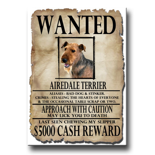 Airedale Terrier Wanted Fridge Magnet Funny