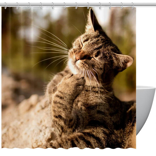 VAPOKF Shower Curtain for Bathroom Decor, Cat in The Sun Waterproof Polyester Fabric Bath Curtain Set with 12 Hooks - 66x72 Inches