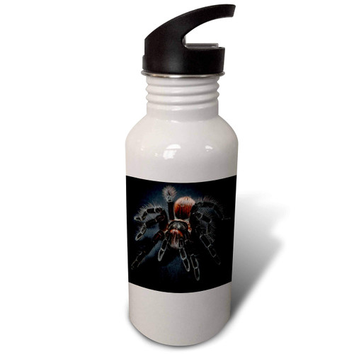 3dRose Black Dangerous Tarantula Spider Arachnid - Straw Water Bottle, 21oz , Flip, White