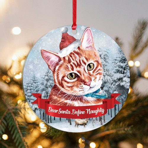 Evans1nism Cat with Santa Hats Acrylic Christmas Ornament Dear Santa Define Naughty Holiday Keepsake Cats Puppies 3 Inch with Hole Hanging Ornaments for Winter Christmas Housewarming Gift