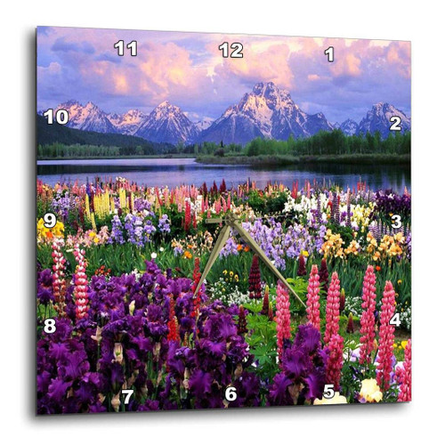 3dRose Wyoming Wildflowers - Wall Clock, 10 by 10-Inch (DPP_53318_1)