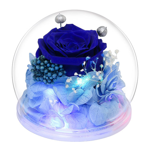 Mom Birthday Rose Flower Gifts for Her, Women Birthday Gifts from Daughter Son,Blue Preserved Flower Roses Gifts for Her in Glass Dome with LED Lights, Rose Flower Gifts for Womens,Wife,Mom,Grandma