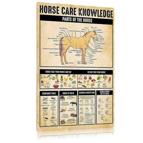 Horse Care Knowledge Poster Wall Decor Artwork Vintage Replica Tin Sign 8 x 12 Inches Retro Vintage Decor Sign Metal Tin Sign Home Bar Wall Decor